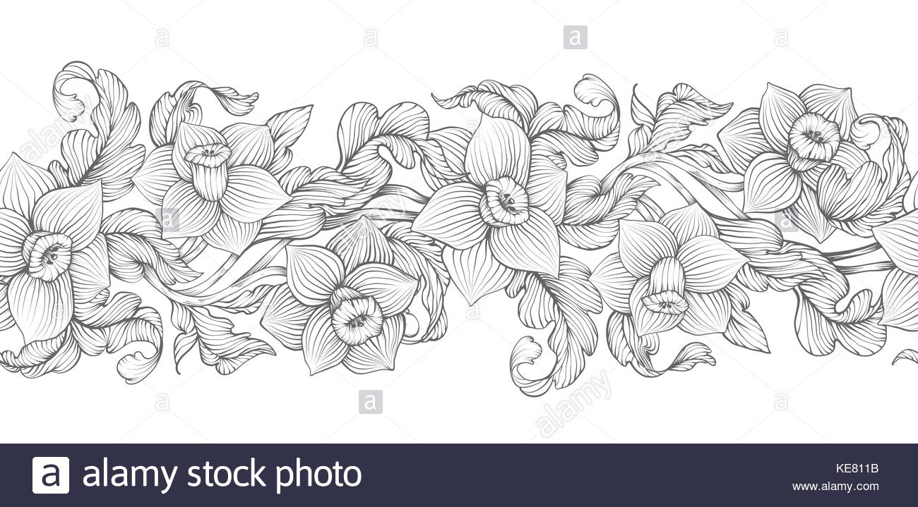1300x719 Daffodils Narcissus Dense Outline Sketch Drawing Floral Seamless