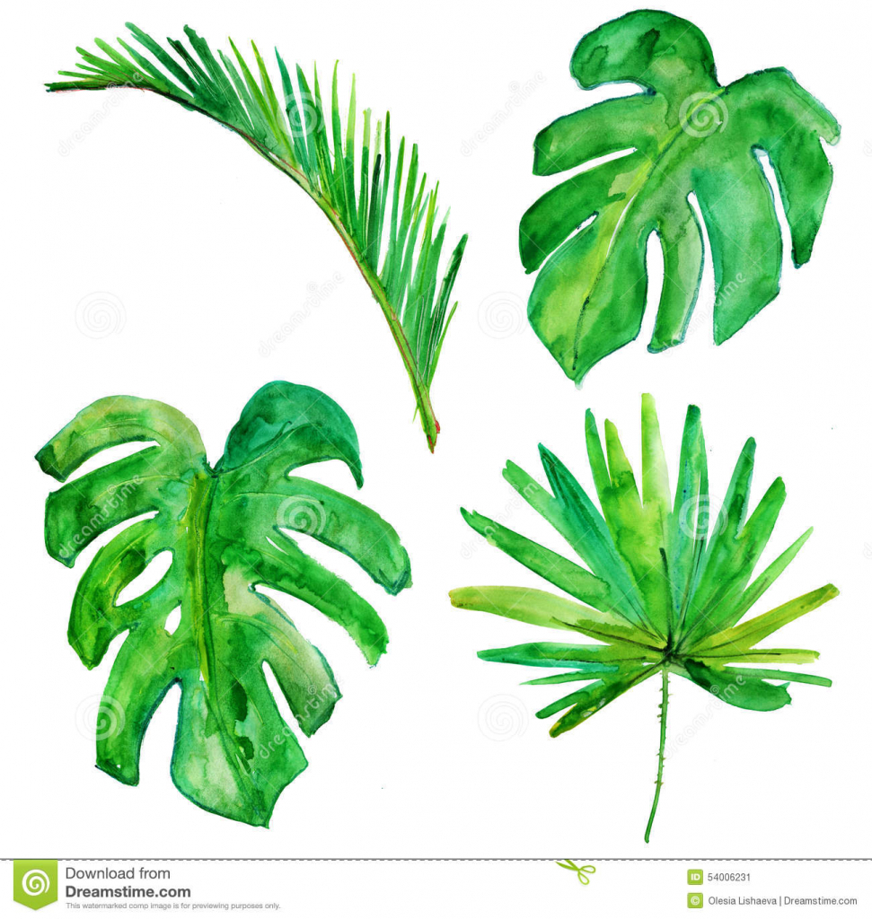 971x1024 Watercolor Painting Trees And Foliage Watercolor Painting Trees