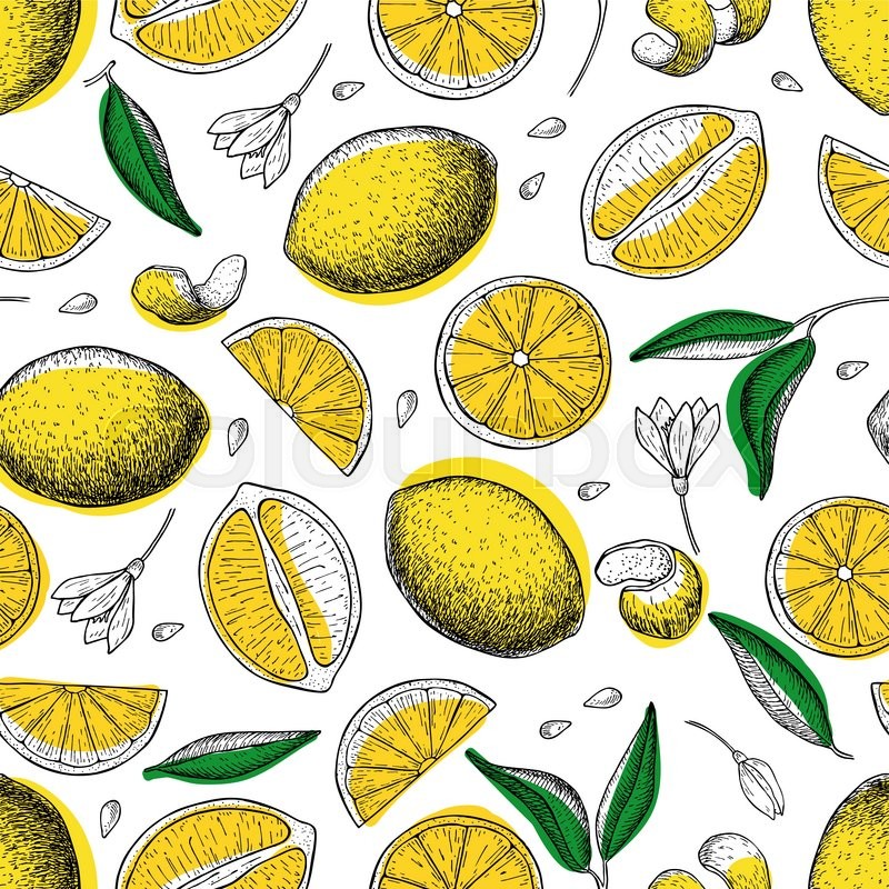 800x800 Lemon Vector Seamless Pattern. Drawing Lemon Colorful Background