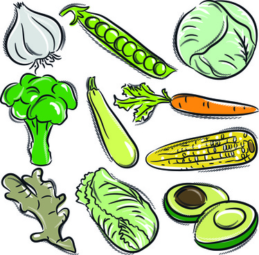 374x368 Vegetable Food Drawing Free Vector Download (93,471 Free Vector