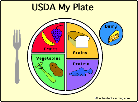 443x328 Usda Food My Plate