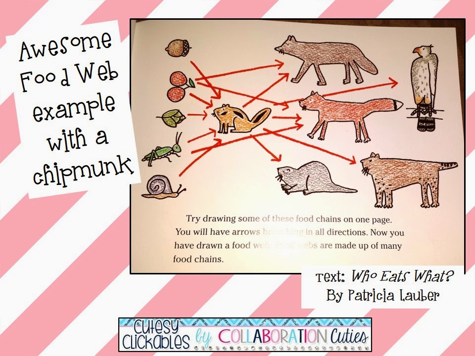 960x720 Great Food Web Example From The Book Who Eats What! Perfect