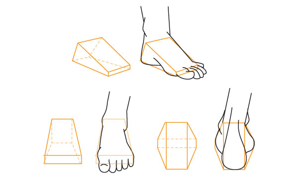 600x370 Human Anatomy Fundamentals How To Draw Feet