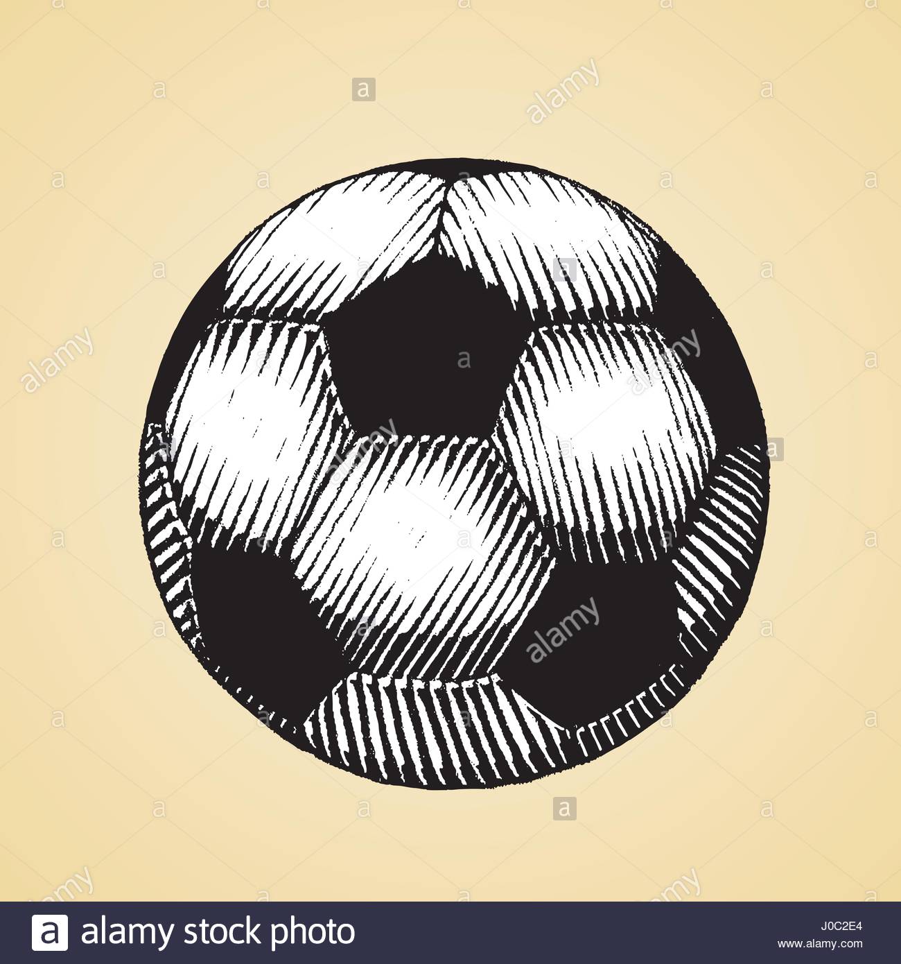 1300x1390 Vector Illustration Scratchboard Style Ink Drawing