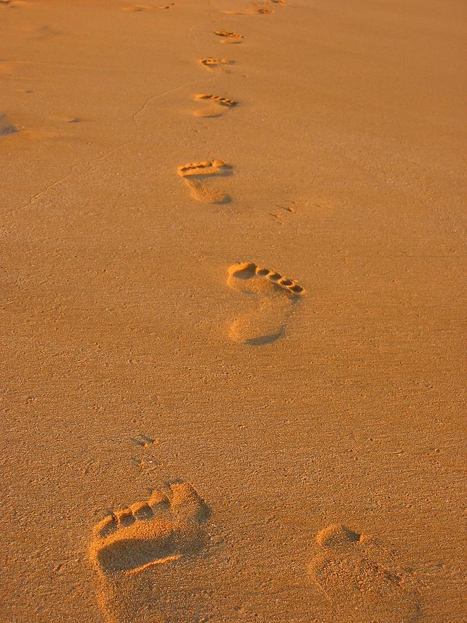 675x900 Footprints In The Sand Photograph By Andreas Thust