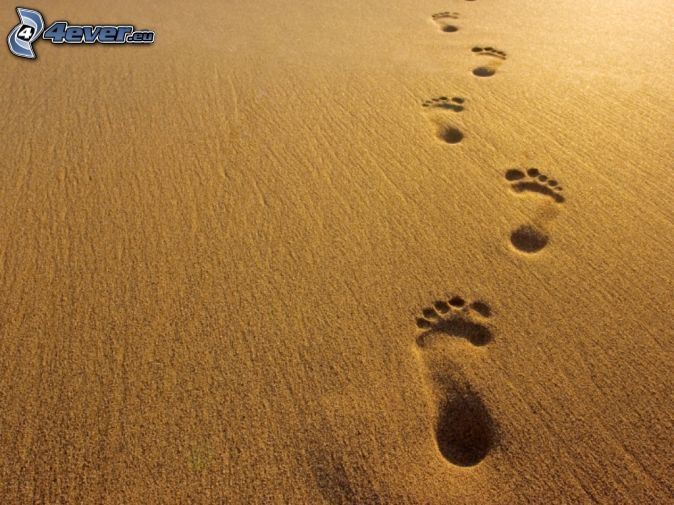 674x505 Foot prints in sand pictures Footprints In The Sand Diy