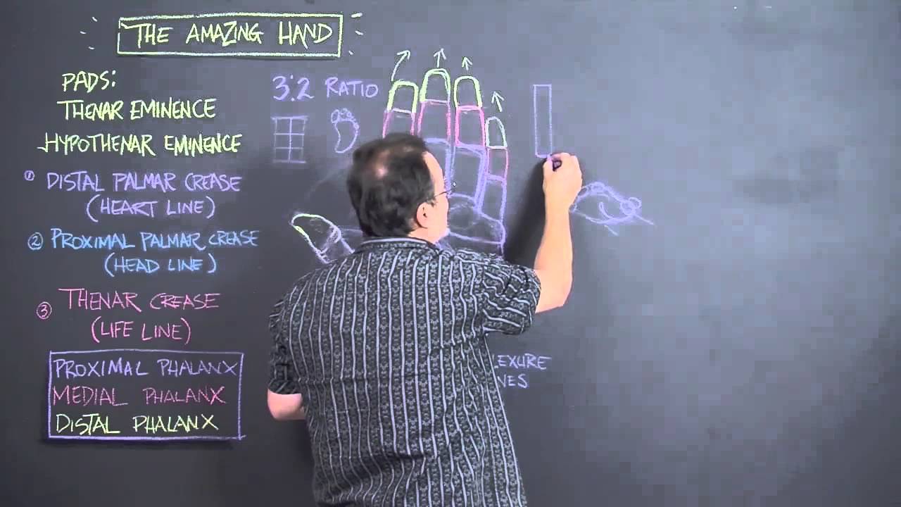 1280x720 How To Draw A Foreshortened Hand Without Reference