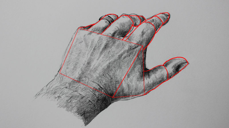800x450 How To Draw Hands