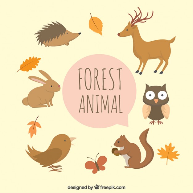 626x626 Cute Hand Drawn Forest Animals With Leaves Vector Free Download
