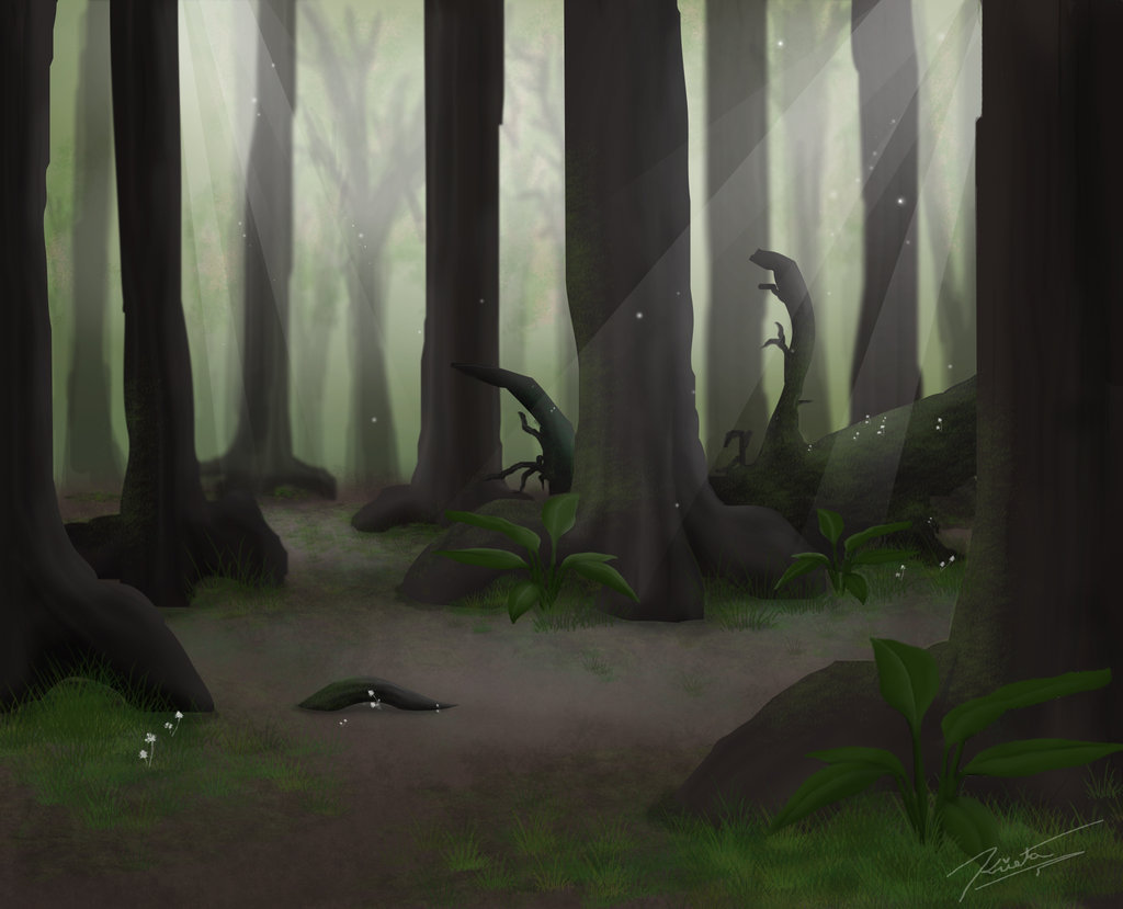 1024x829 Summer Forest Background By Labinnak