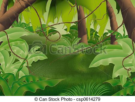 450x338 Virgin Forest