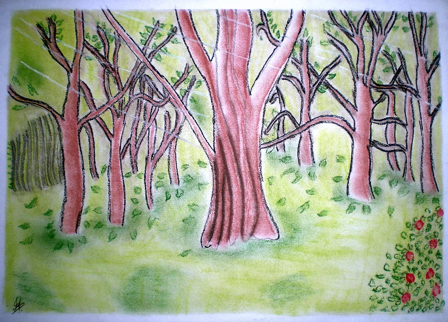 900x647 Forest Scenery Drawing By Indu Raghavan