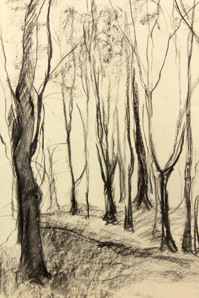 770x1155 Saatchi Art Winter Forest Drawing By Hilary Padget
