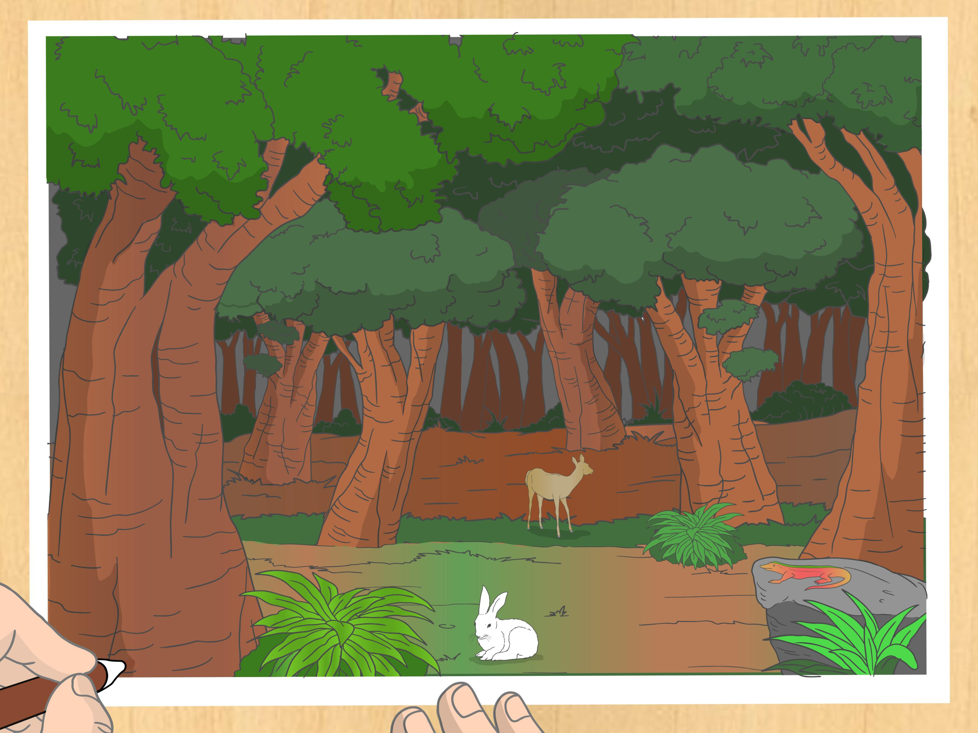 Forest Drawing Easy at GetDrawings | Free download