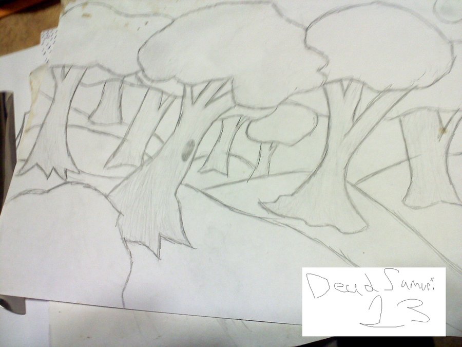 900x675 Forest Drawing By Deadsamurai13