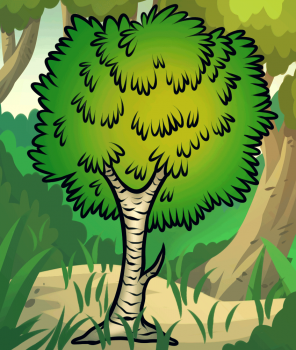 296x350 Forest Drawing For Kids, Coloring Pages, Videos For Kids, Free