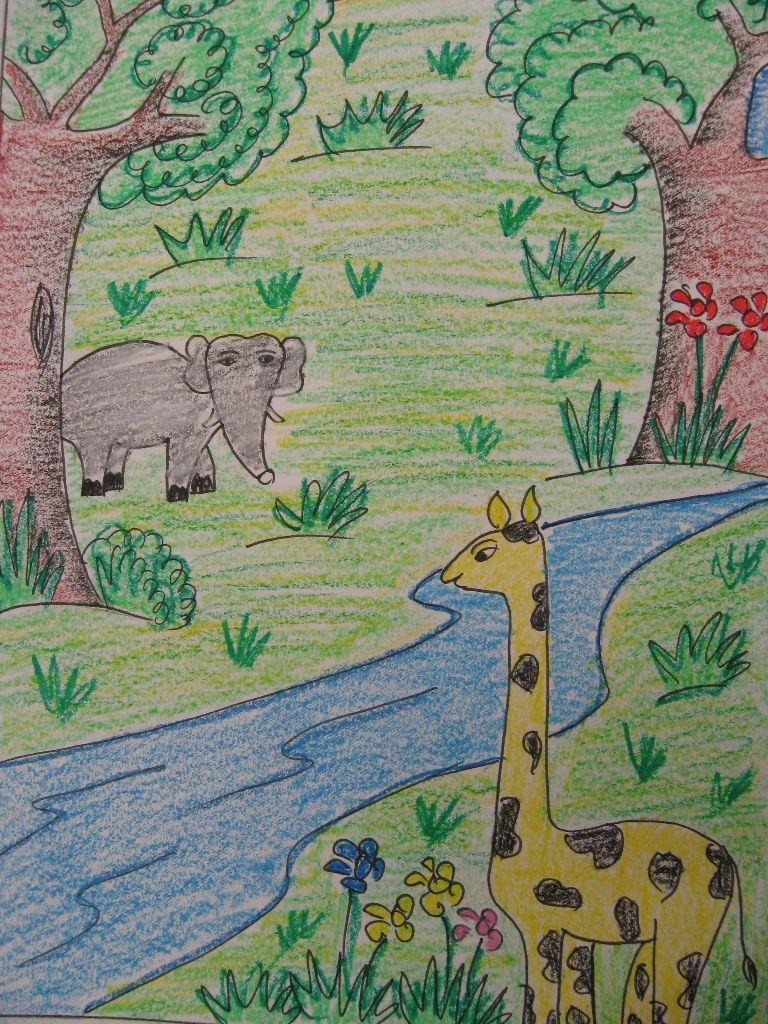 768x1024 How To Draw A Forest Scene