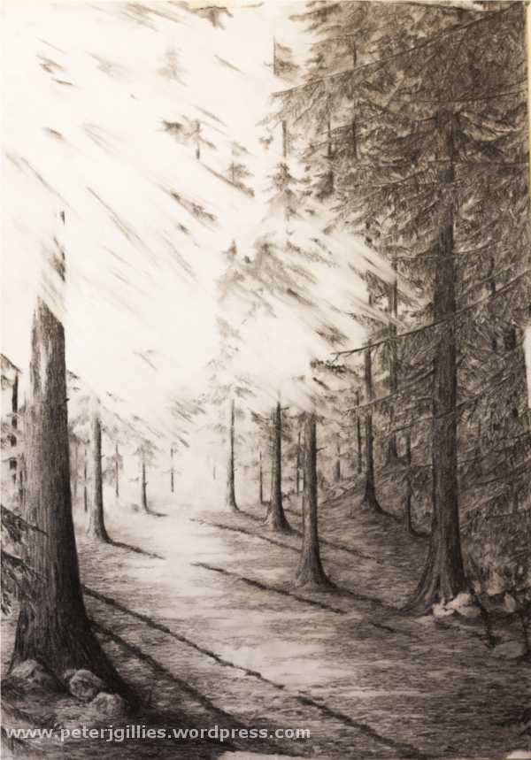 Forest Pencil Drawing at GetDrawings.com | Free for personal use Forest