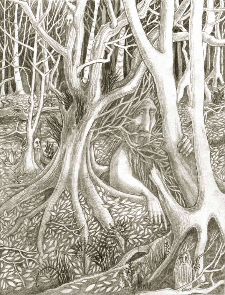  Forest Pencil Drawing at GetDrawings.com Free for personal use Forest 