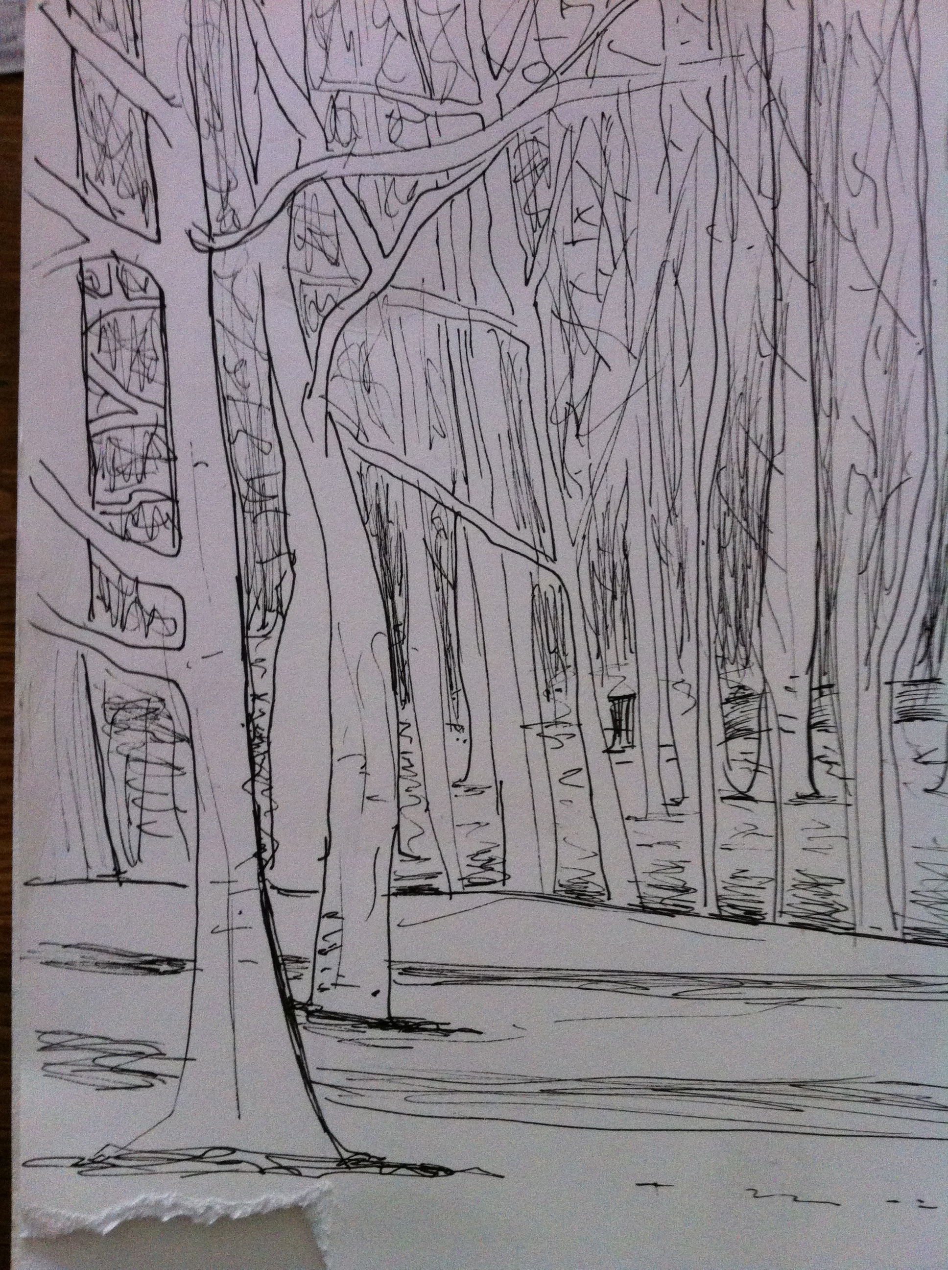 Forest Pencil Drawing at GetDrawings.com Free for 