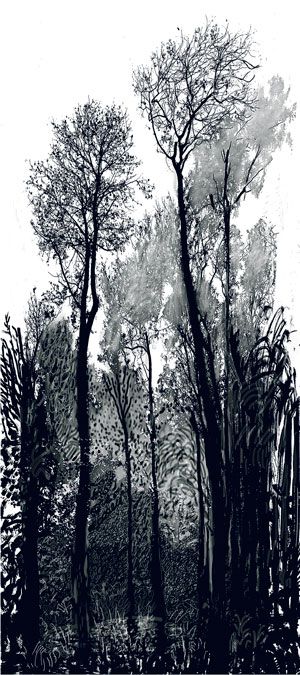 300x675 288 Best Botanical Tree Amp Vine Texture Images