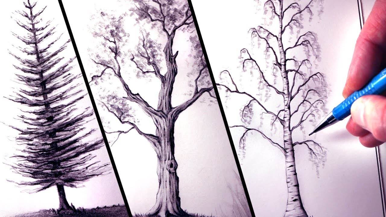 1280x720 How To Draw Trees