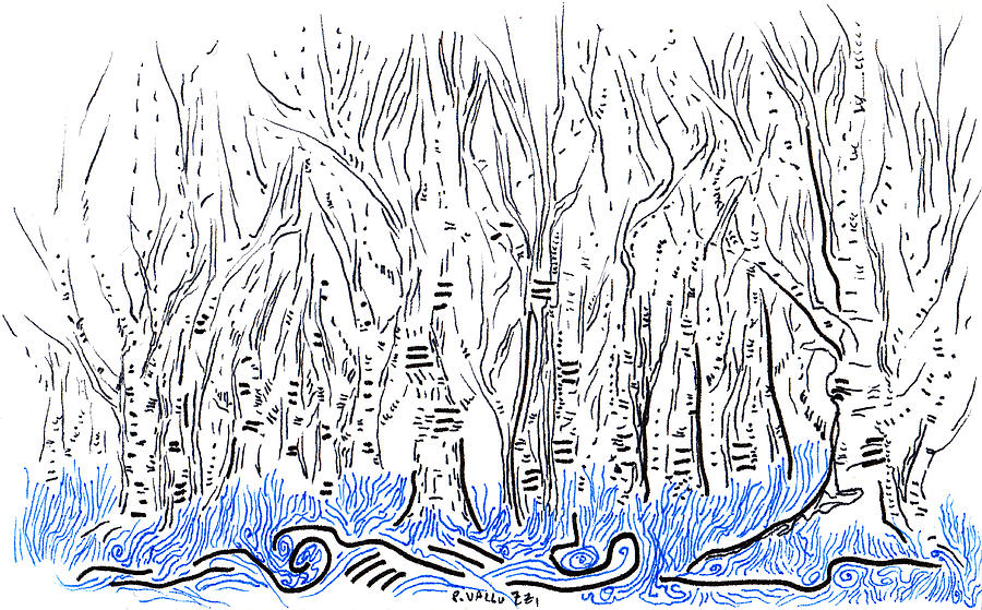 900x559 The Forest For The Trees An Aceo Drawing By Regina Valluzzi