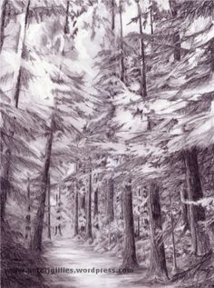 236x317 Tree Drawing, Woodland Print, Forest Tree Art Print, Beautiful
