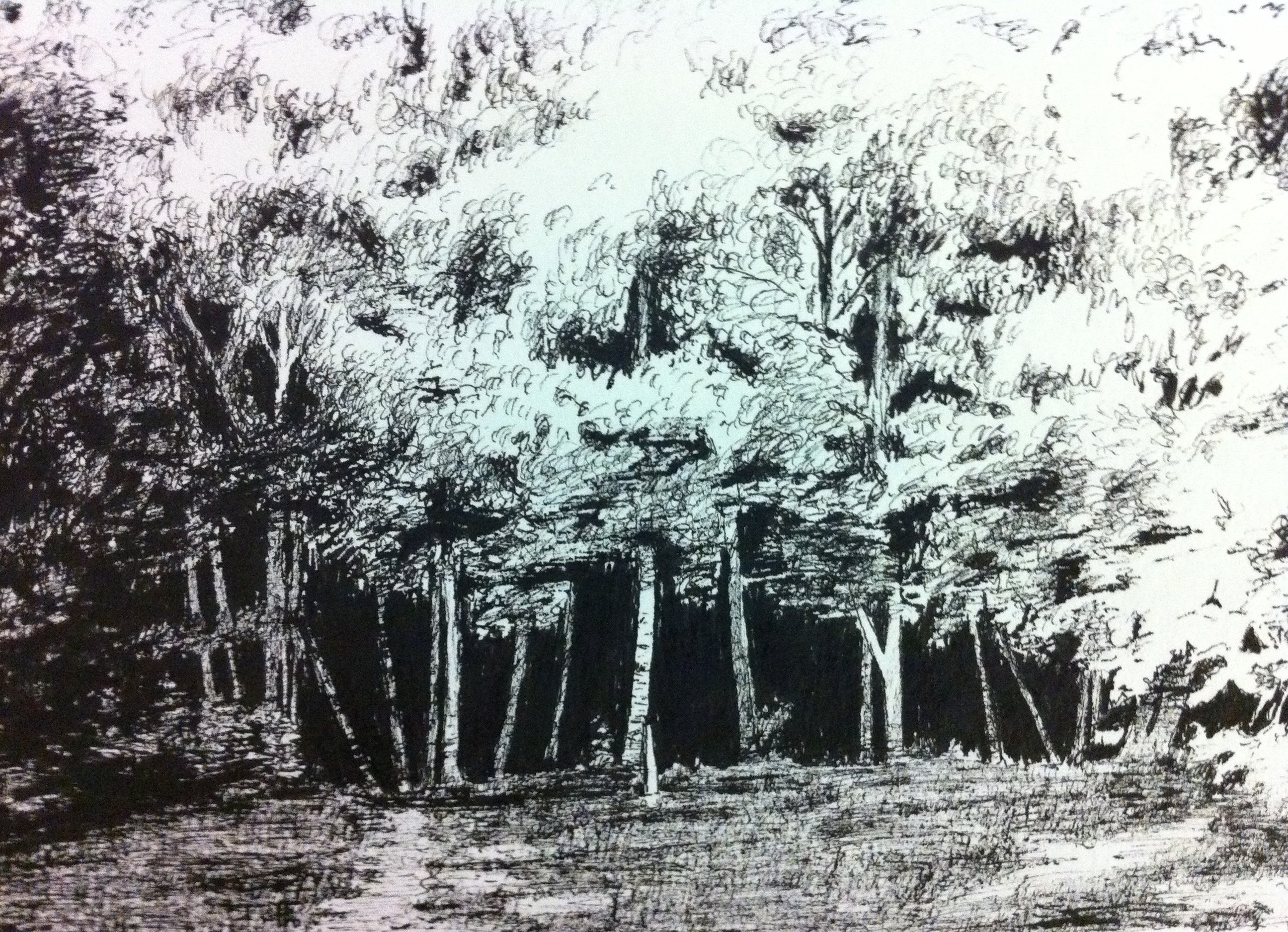 2592x1875 Drawing Trees Jojohnstondotnet