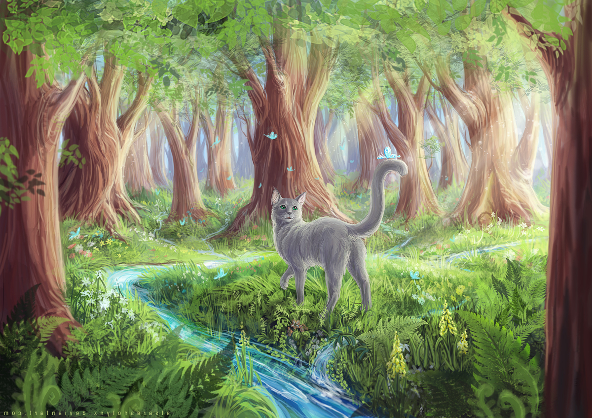 1200x848 Simple Drawing Of Forests With Animals