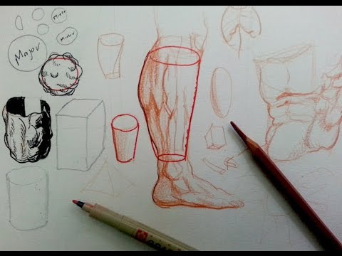 480x360 How To Draw Complex Forms Part 5 Major Vs Minor Forms