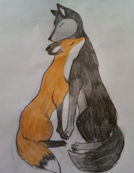 465x599 Wolf Fox Hug By Editer Queen