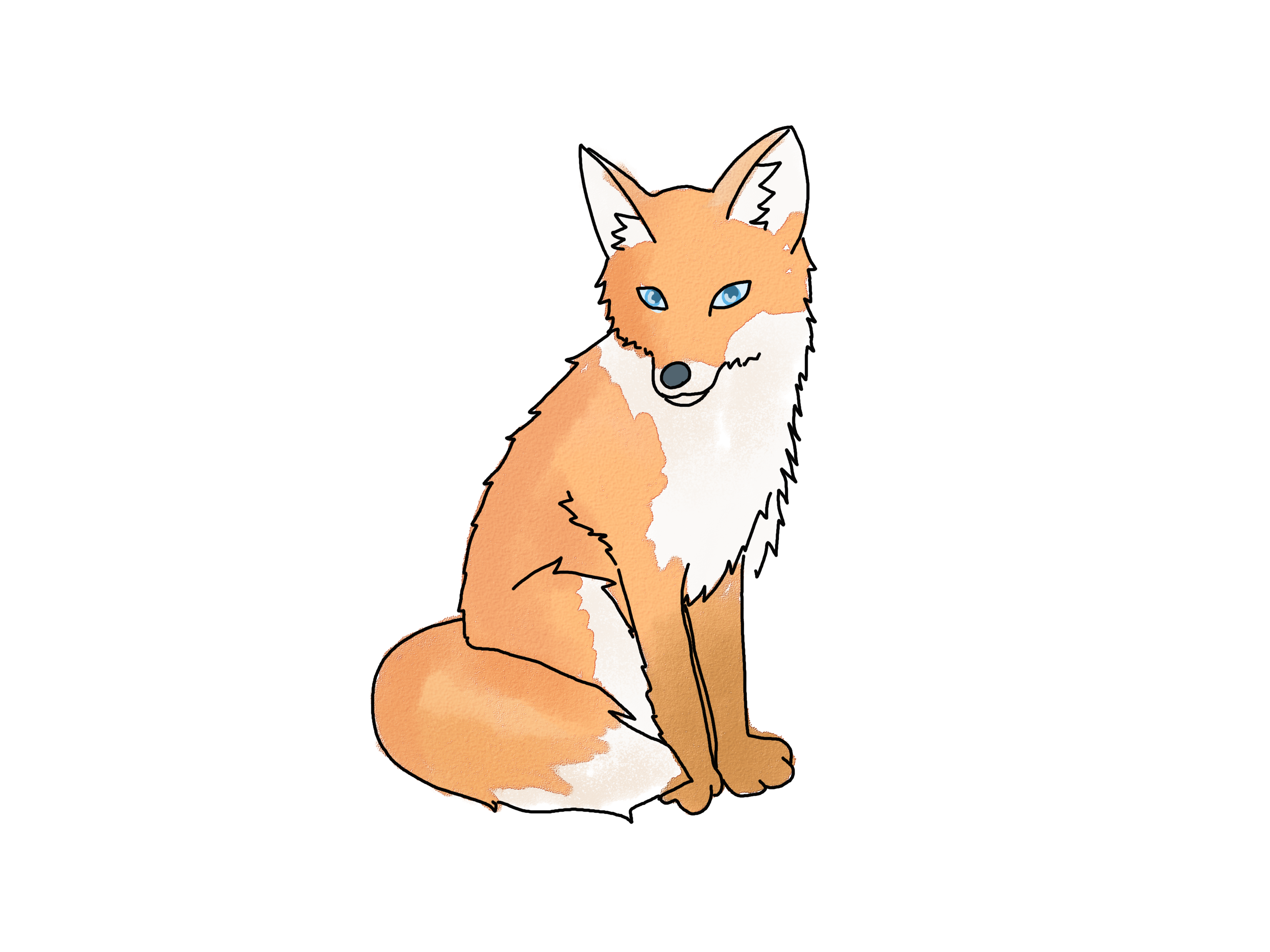 3200x2400 Draw A Fox Foxes, Drawings And Fox Drawing