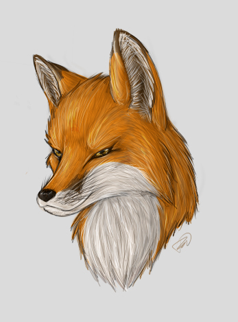 Fox Head Drawing at GetDrawings | Free download