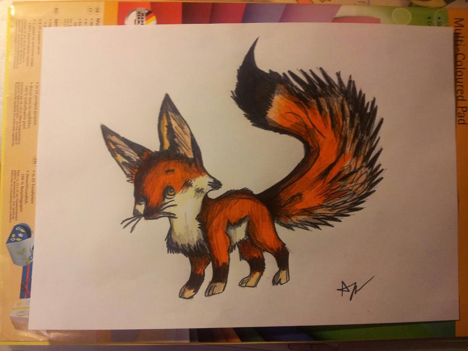 960x720 Fox Pencil Drawing By Patrissaart