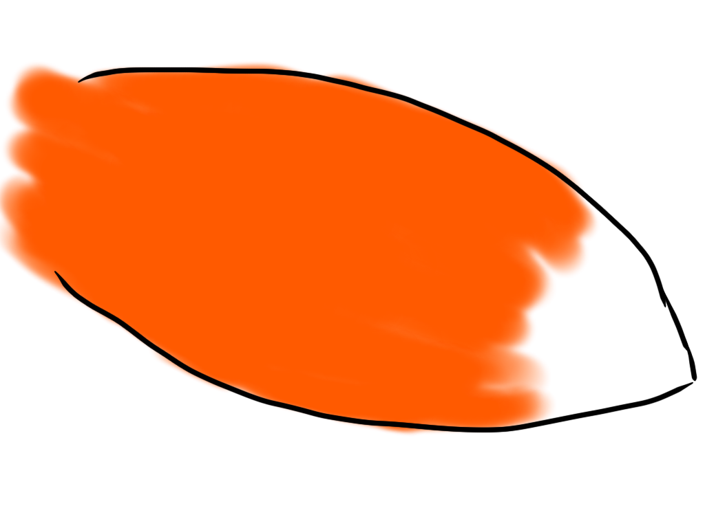 1024x768 Fox Tail Occasional Wombat