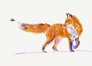 300x215 Fox Tail Paintings Fine Art America