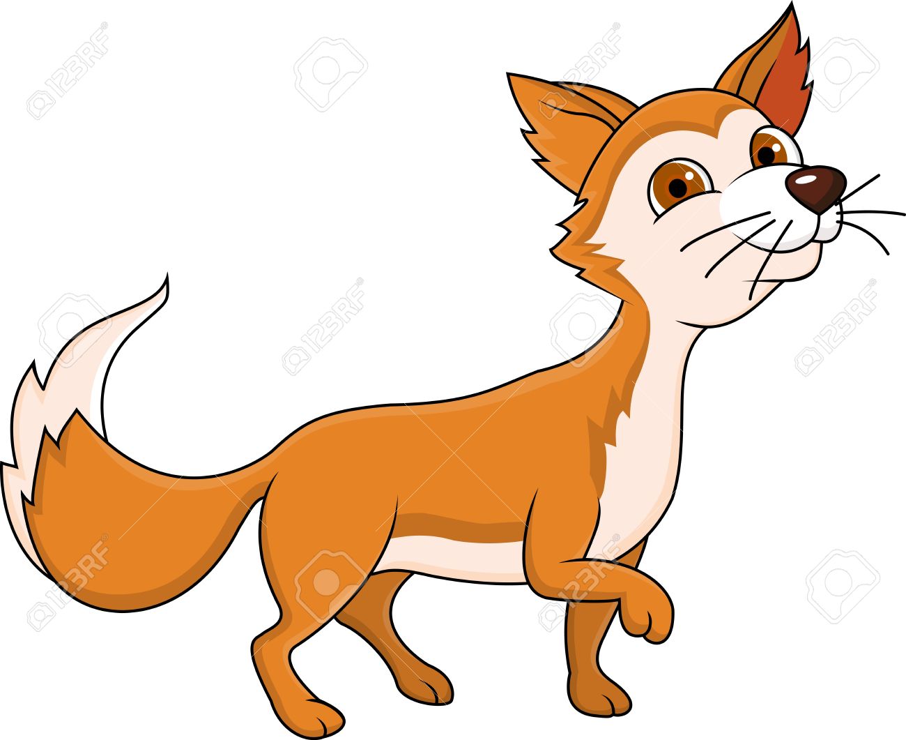 1300x1061 Fox Tail Stock Photos. Royalty Free Business Images