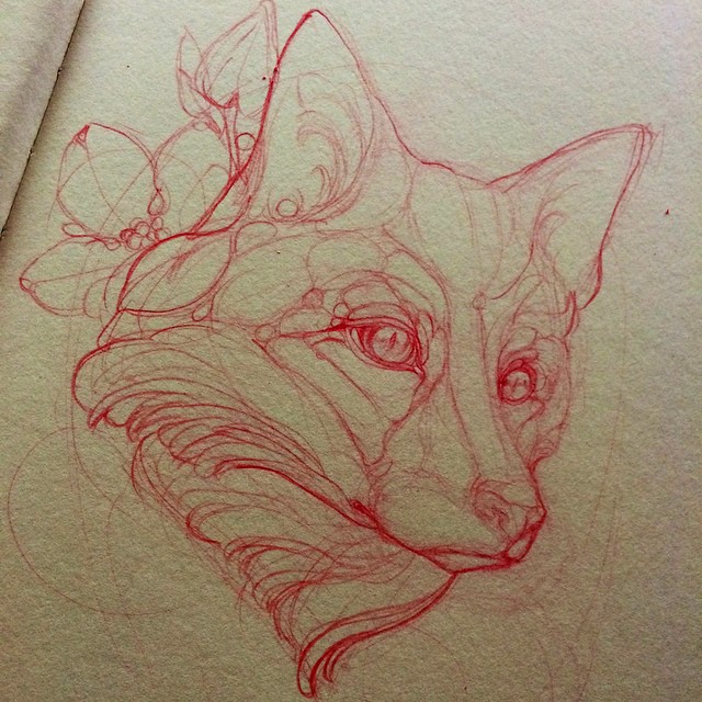 640x640 Sketching A Red Fox