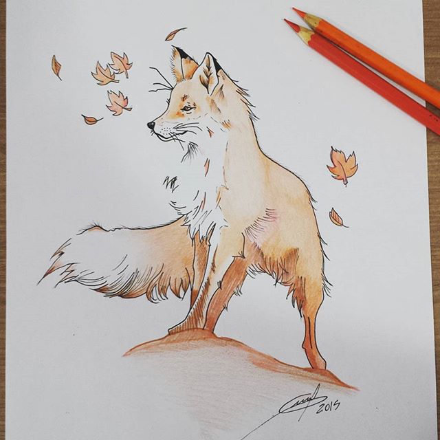 640x640 Xaf1t51.2885 15