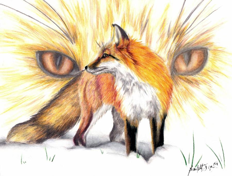 900x684 Red Fox Drawing By Scarlett Royal