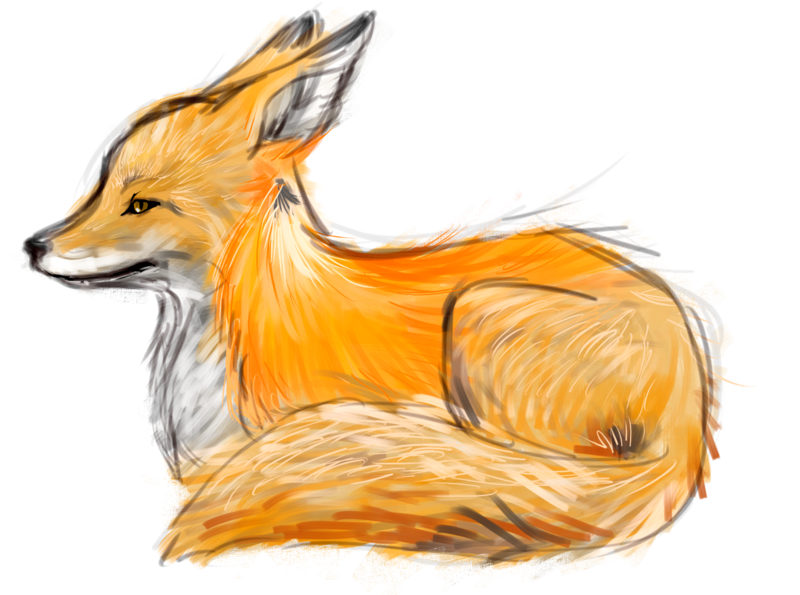 800x595 Fox Sketch By Yumenei