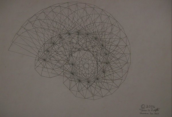 600x409 Quantum Seashell Hand Drawn By Jasonquantum1