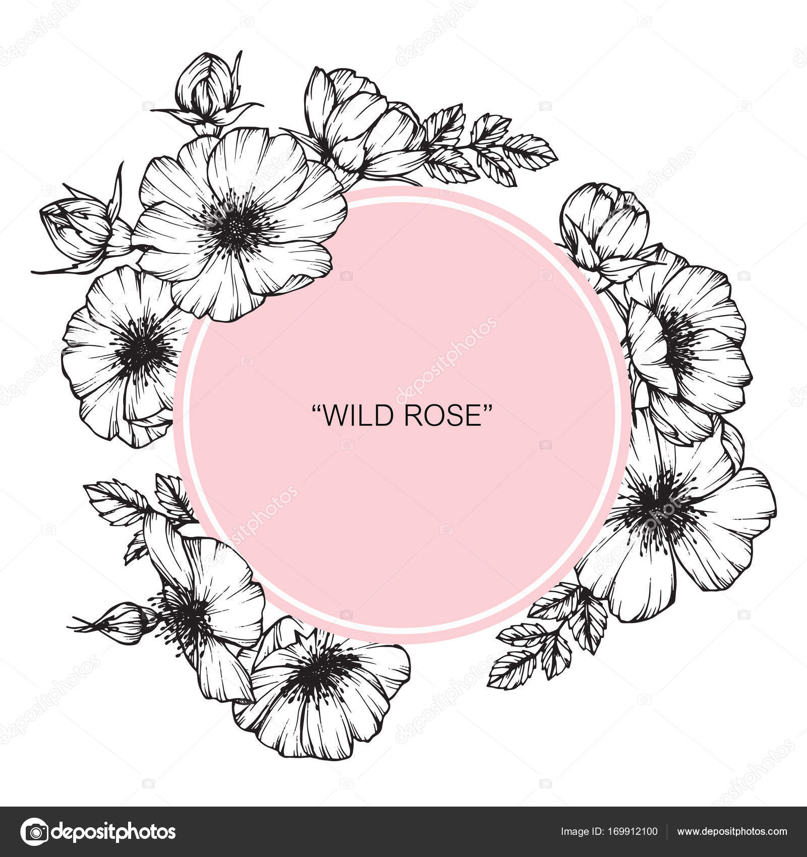 1600x1700 Wild Rose Flower Frame. Drawing And Sketch With Black And White