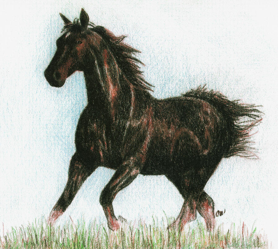 900x808 Running Free Print , Featured And Running