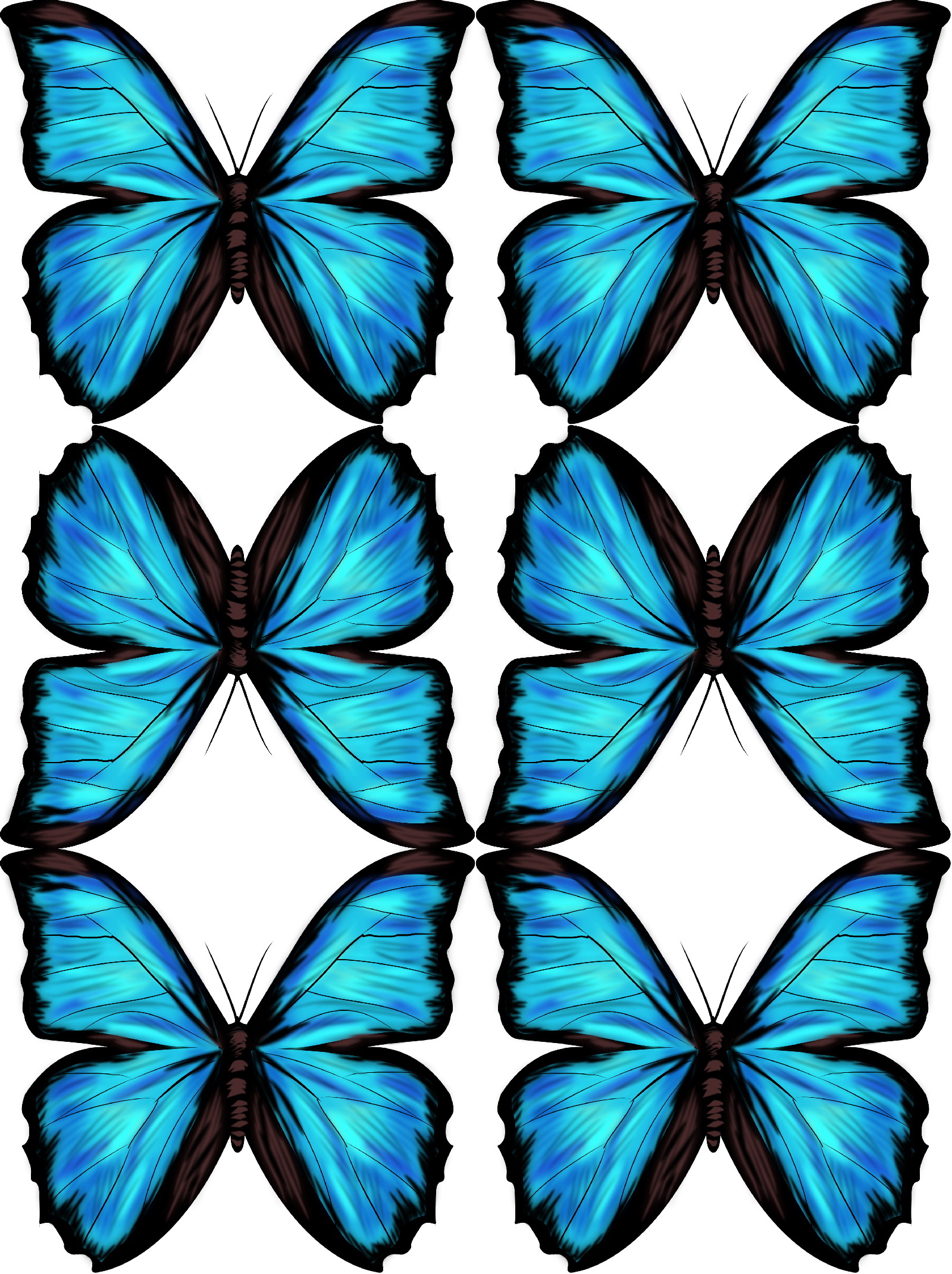 1600x2140 Blue Morpho Free Downloadable Drawing And Tutorial Myrte