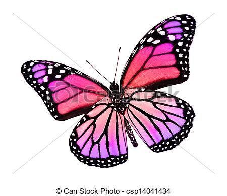 450x389 Stock Illustration