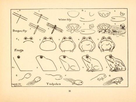 466x350 Gallery Free Drawing Books,