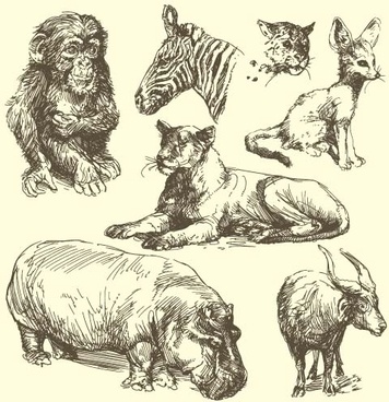 356x368 Line Wild Animal Drawings Free Vector Download (101,658 Free