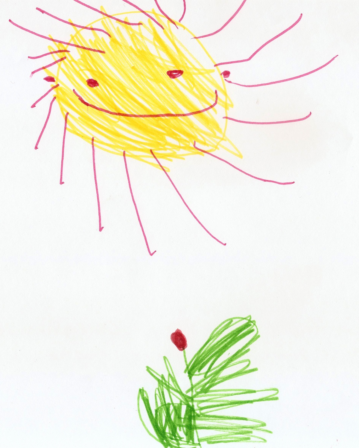 1200x1498 Tulip And Sun. Children Drawing. Children's Drawings